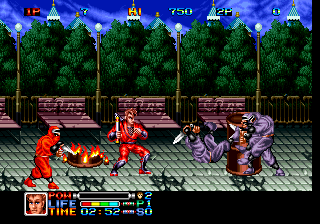닌자 컴뱃 - Ninja Combat (NGH-009)