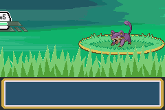 pokemon advanced adventure gba pokemon advanced adventure gba