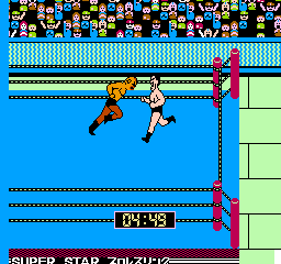 pro wrestling nes