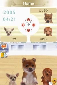 play nintendogs online