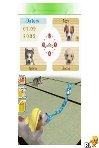 play nintendogs online