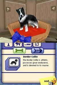 the sims 2 pets ds