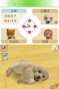 play nintendogs online