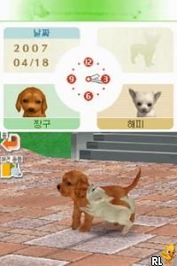 play nintendogs online