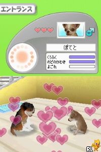 petz dogz pack codes